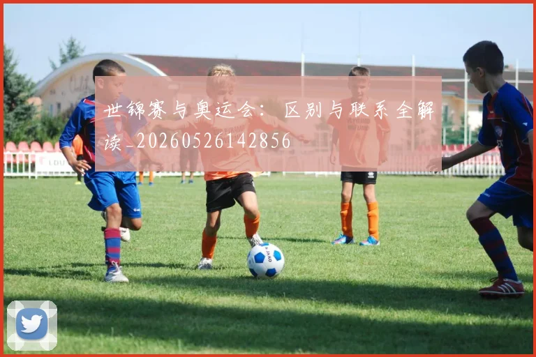 世锦赛与奥运会:区别与联系全解读_20260526142856